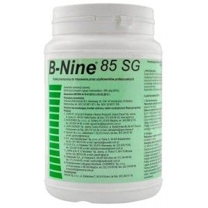 B-NINE 350g Skarlacz w Roślinach Regulator Wzrostu