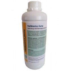Valibiotics Forte 1L choroby bakteryjne grzybowe