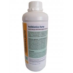 Valibiotics Forte 1L choroby bakteryjne grzybowe