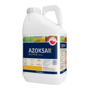 Azoksar Super 250SC 1L Środek grzybobójczy